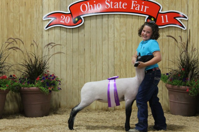 11 Res Commercial Ewe Darke County