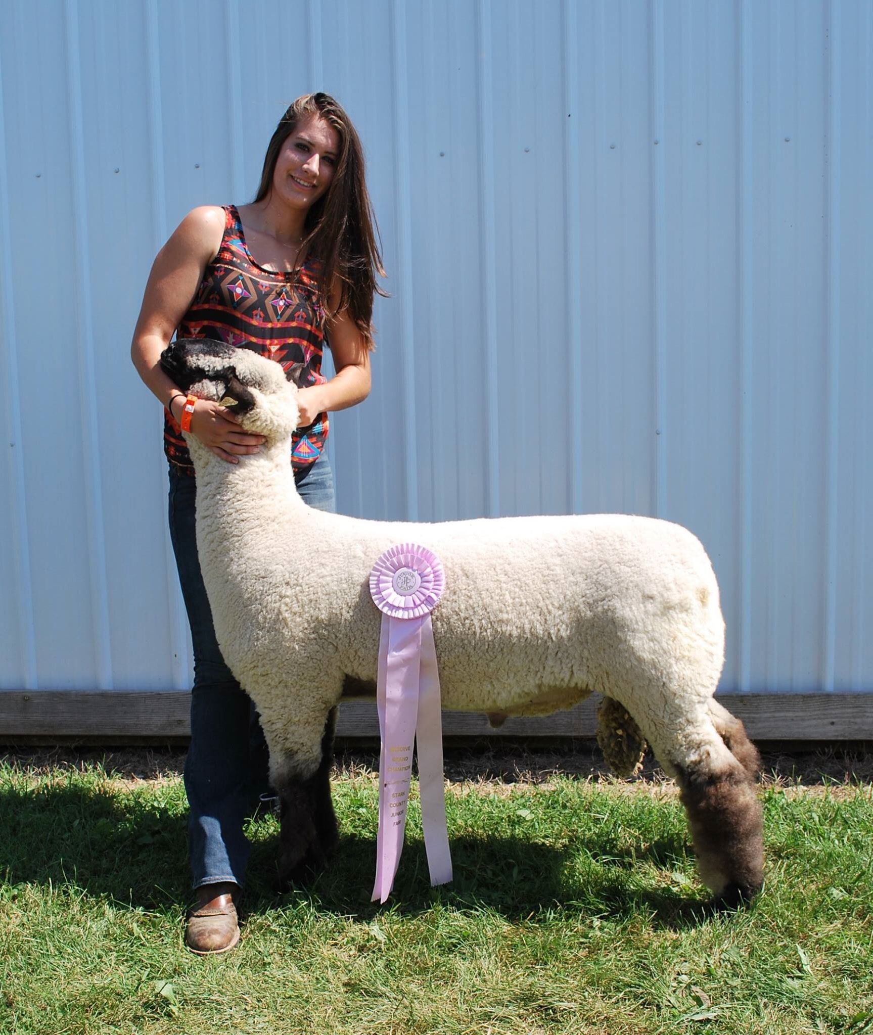 champion-hamp-res-supreme