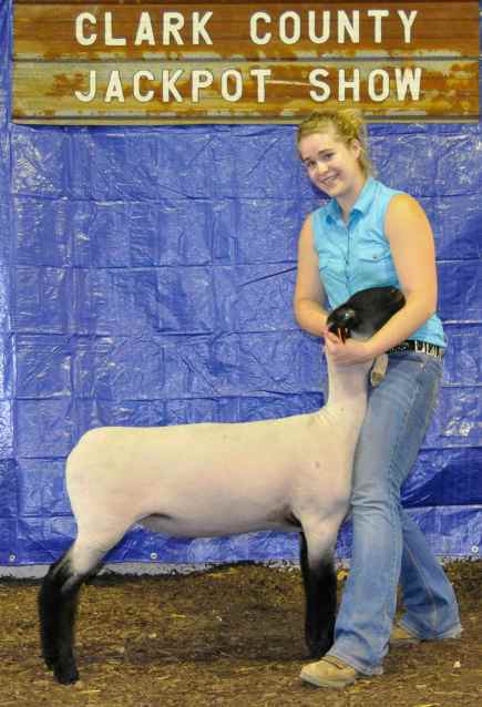 clark county jackport res commercial