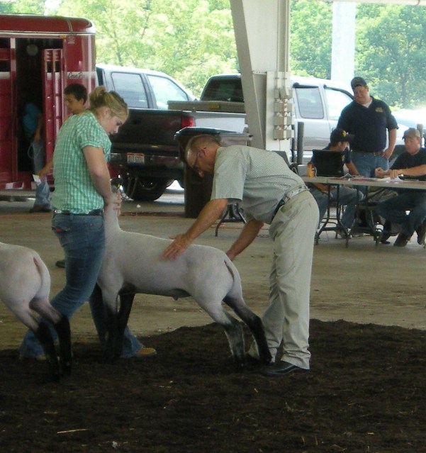 class winner lebanon