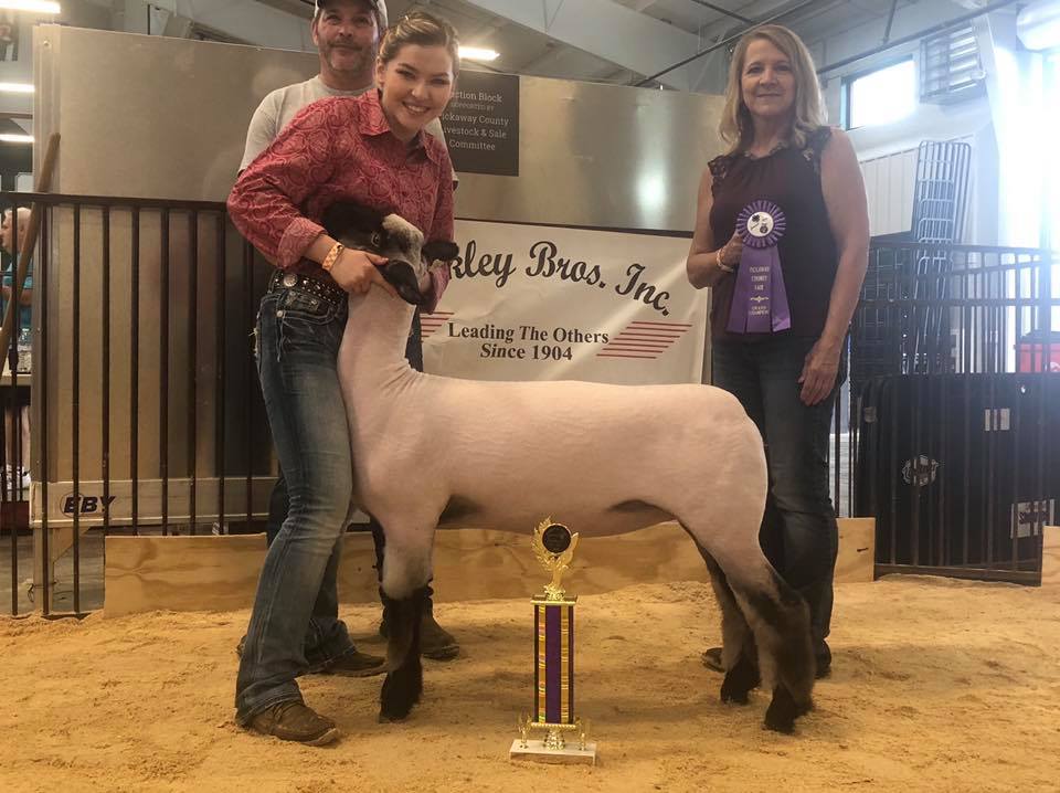 supreme ewe pickaway