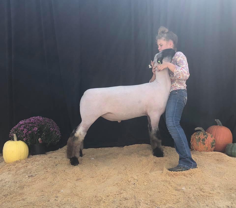 7th overal 2019 cosh