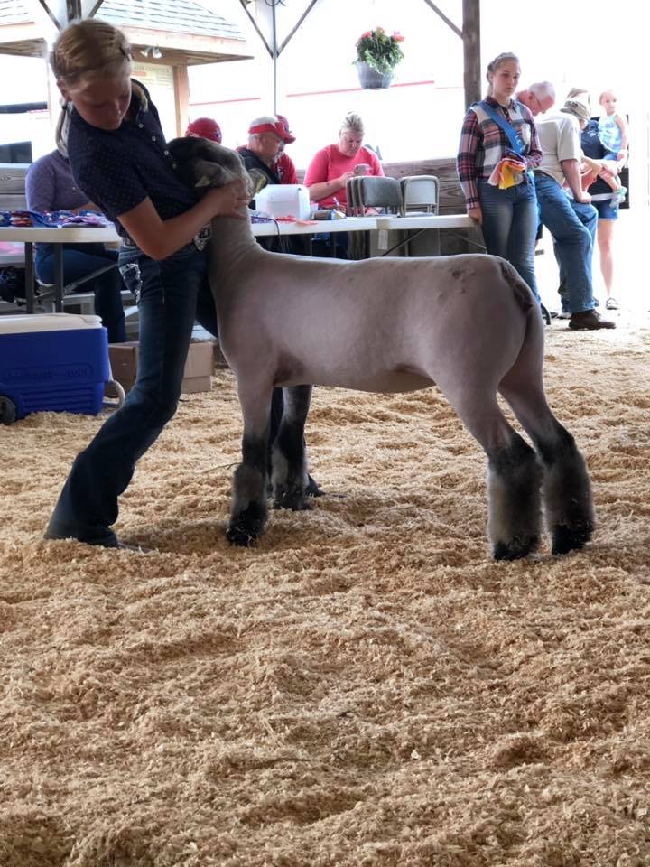 Supreme ewe delaware