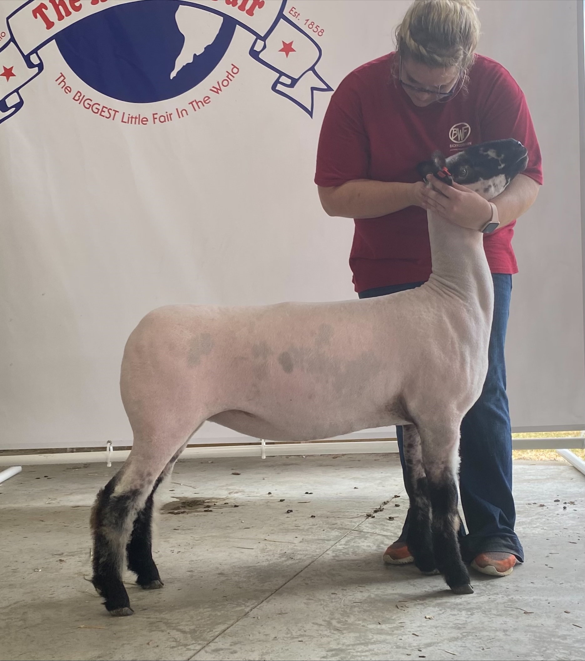 Champion Crossbred 2021